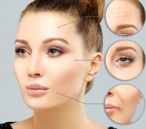 Face and Body Ästhetik Institut Academy